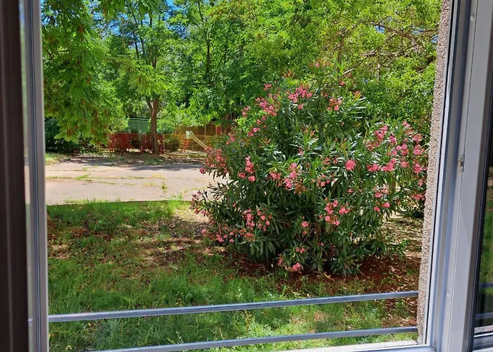 Larissa Apartman Zadar